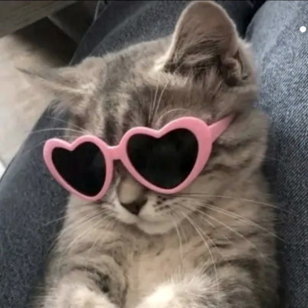 Meet your Posher, Siimply